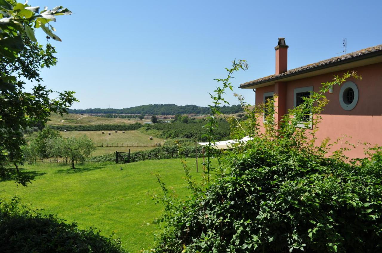 Bed and Breakfast Casale Vicino Al Golf Nazionale Monterosi Exterior foto